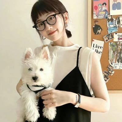 死蠢斗一番 2.5海报
